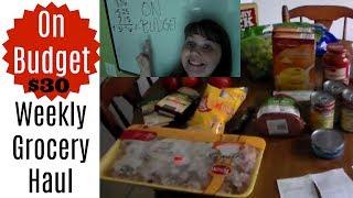 ON BUDGET $30 Weekly Grocery Haul