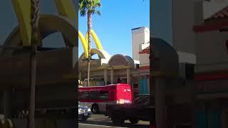 Утро,Лос-Анджелес #shortvideо #usa #прогулка #пешком #макдак  #лосанджелес #часть_2