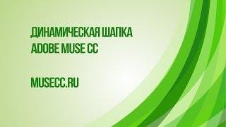 Динамически изменяющаяся шапка в Adobe Muse