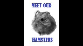 Hamsters of Rodent Rascals Adventures