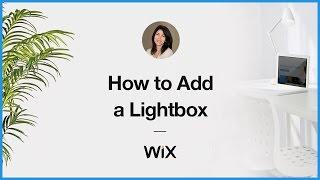 How to Add a Lightbox to your Wix Website