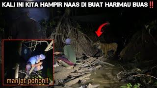 CAMPING HOROR HAMPIR NAAS DI BUAT HARIMAU SUMATRA SAMPAI HARUS MANJAT POHON JERA NGINEP DI SUNGAI!