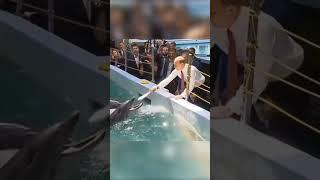 Vladimir Putin's moment with a dolphin #putin #russia #warinukraine #shorts