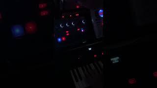 Dreaming in wanderland Dawless on korg