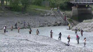 Fishing Report: 191K Sockeye hit Kenai River in 1 day, while cohos are coming