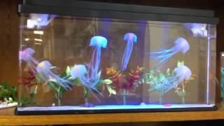 Large Deluxe Jellyfish Aquarium