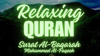 Quran - 4K Relaxing Rain - Surat Al Baqarah - Mohammed Al-Faqeeh - قرآن - سورة البقرة - محمد الفقيه