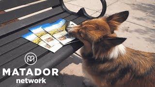 Explore Asheville with Sammy the Dog