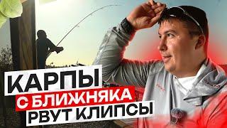 СУМАСШЕДШИЙ КЛЕВ В ПЕРВЫЕ СУТКИ, А ПОТОМ... Чемпионат Брянской области по ловле карпа.