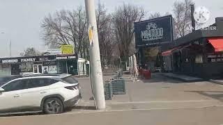 Весна в Ташкенте. 6 марта. Дорога до Рабочего городка.