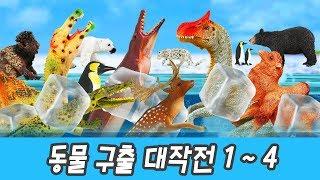 한국어ㅣ위기에 빠진 동물 구출 대작전! 1~4화, 36분 연속보기, 동물 및 공룡이름 맞추기, 컬렉타ㅣ꼬꼬스토이