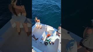 Reel Deal Sportfishing is live!
