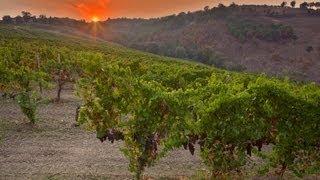 Terredora 2013 - Vini di qualità elevata