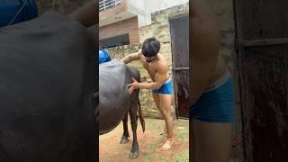 What is this body ️ #fitness #youtubeshorts #shorts