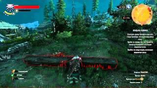 Прохождение The Witcher 3: Wild Hunt (Серия 68) [Владыка Ундвика]