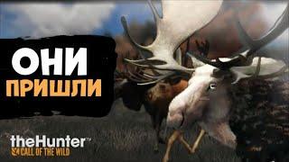 theHunter Call of the Wild - ТЫ ОХР*НЕЕШЬ! - Великий лось