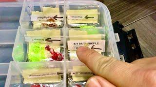 Tackle Tip Tuesday - Panfish Ice Fishing Plastics Organization Hack!