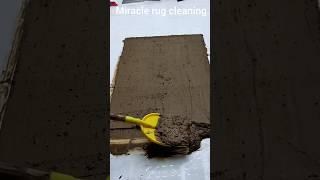 The joy of cleaning the dirtiest carpet in the world! asmr