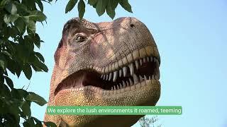 Unveiling the Tyrannosaurus Rex  King of the Dinosaurs
