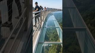 people standing suddenly the glass bridge collapsed and collapsed #shorts