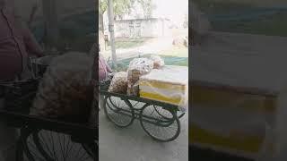khari tosh butter   #viral #youtube #daily #trend #new #trending #comedy