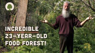 Couple Transform Land into an Amazing Permaculture Food Forest