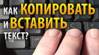 Как скопировать и вставить текст? Компьютер для начинающих