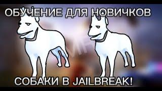 СОБАКИ В JAILBREAK! (ОБУЧЕНИЕ ДЛЯ НОВИЧКОВ)