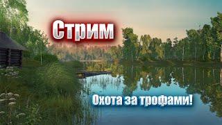 ЛОВИМ ТРОФЕЕВ | оз. КОМАРИНОЕ | КАРАСЬ СЕРЕБРЯНЫЙ | Русская рыбалка 4