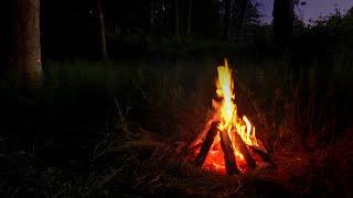 Crackling Campfire in the Woods: a Spooky Halloween Ambience