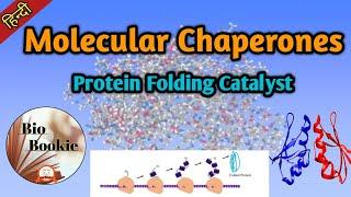 Molecular Chaperones || Protein Folding Catalyst.