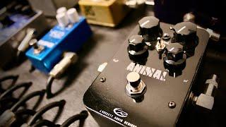 Rockett Pedals Animal Demo by Richard Watson