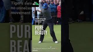Tiger's Swing With No Unnecessary Movement  #shorts #golf