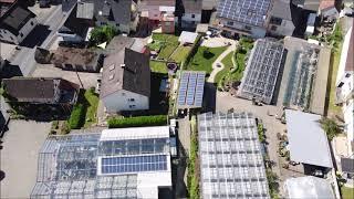 Der Gartenbau-Profi zu Besuch in der Blumengalerie Albert