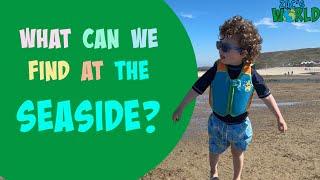 What can we find at the seaside? | beach play | learning activities | UK seaside | English words