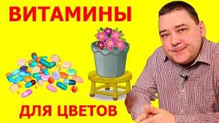 Аптечные витамины для цветов. Правда, которая не всем понравится