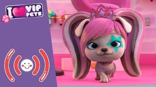 LIVE  VIP PETS  SUPER HAIR ‍️ Full Episodes  CARTOONS for KIDS in ENGLISH