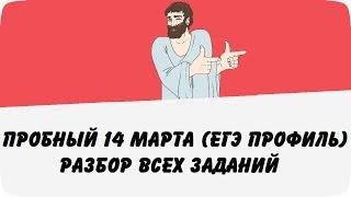 Пробный ЕГЭ 14 марта (Разбор всех заданий варианта) ЕГЭ профиль по математике (ШКОЛА ПИФАГОРА)