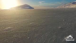 Ice moving, Providenia Bay