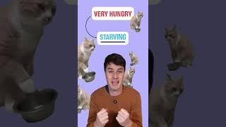 Boost Your English Skills with These 10 Power Words!