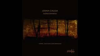 Joshua Calleja - Blonde Dimension  [Northern Parallels 022]