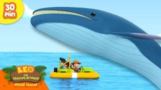 GIANT SEA CREATURE ATTACKS?!  | Huge Animals! | Leo the Wildlife Ranger | Kids Cartoon