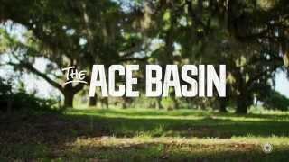 The ACE Basin