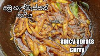 අමු හාල්මැස්සන් කරිය රසට උයමු/ How to make Raw Sprats Curry #halmassanrecipe #fishcurry #spratscurry