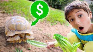 Buying a *NEW* African Sulcata Tortoise!! (Giant Tortoise)