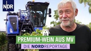 Vollerntemaschine im Weinanbaugebiet in Mecklenburg-Vorpommern | Die Nordreportage | NDR