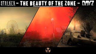 ️ The beauty of the zone | DayZ S.T.A.L.K.E.R. Roleplay X18