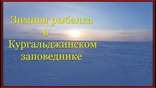 Астана. Зимняя рыбалка в Кургальджинском заповеднике