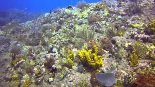 St kitts - Saba, Explorer ll,  Gopro Hero 3