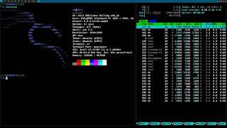 Kali Linux and DWM/ST: A Minimalistic and Customizable Setup Demonstration. #dwm #kalilinux
